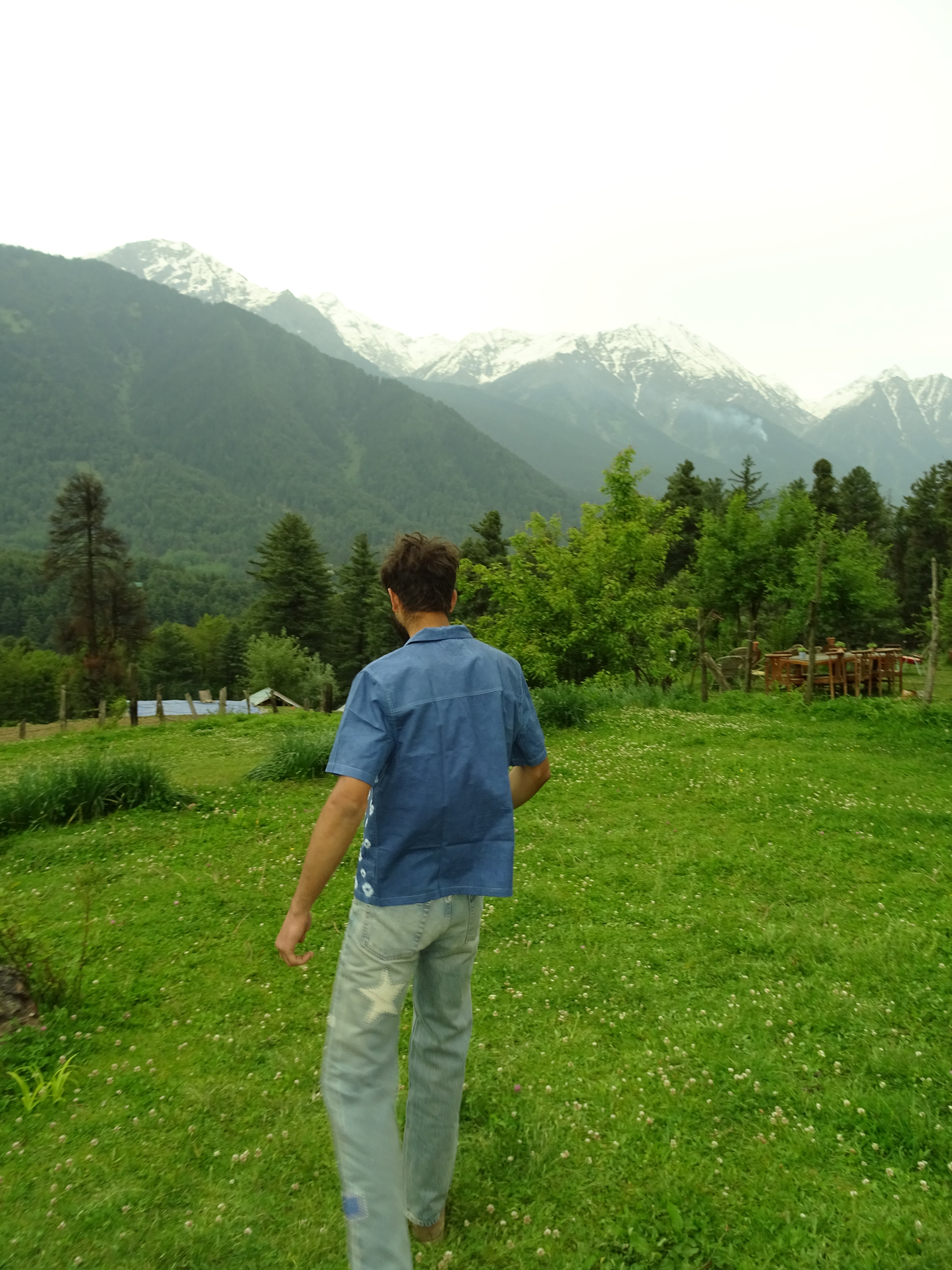 Person in a blue shirt standing on grass with a scenic background